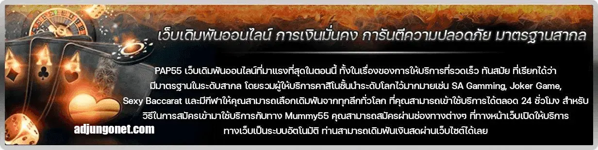 PAP55 ทางเข้า